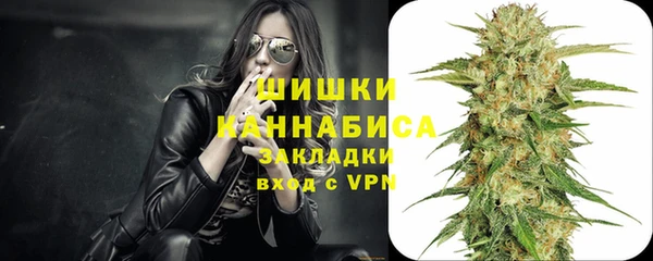 мдпв Заводоуковск