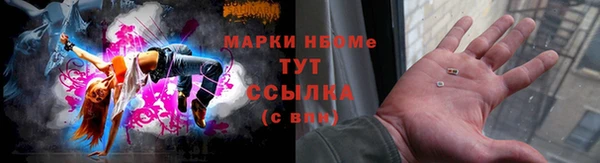 мдпв Заводоуковск