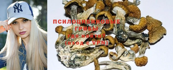 мдпв Заводоуковск