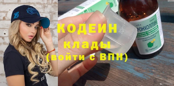 мдпв Заводоуковск