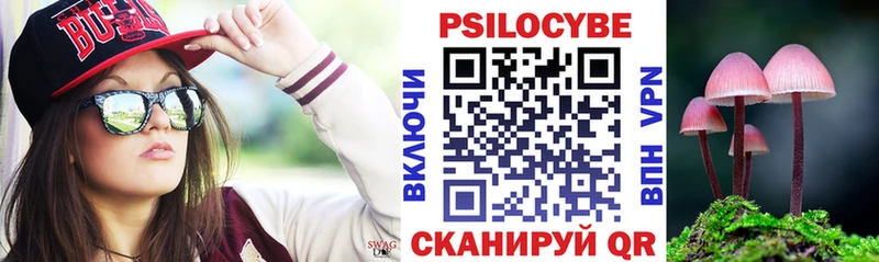 Псилоцибиновые грибы прущие грибы Старая Русса